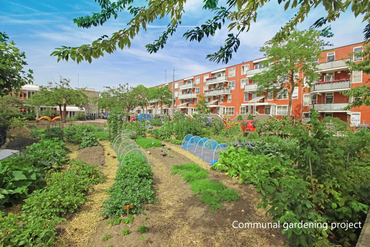 New Monumental Garden View Studio อัมสเตอร์ดัม ห้อง รูปภาพ